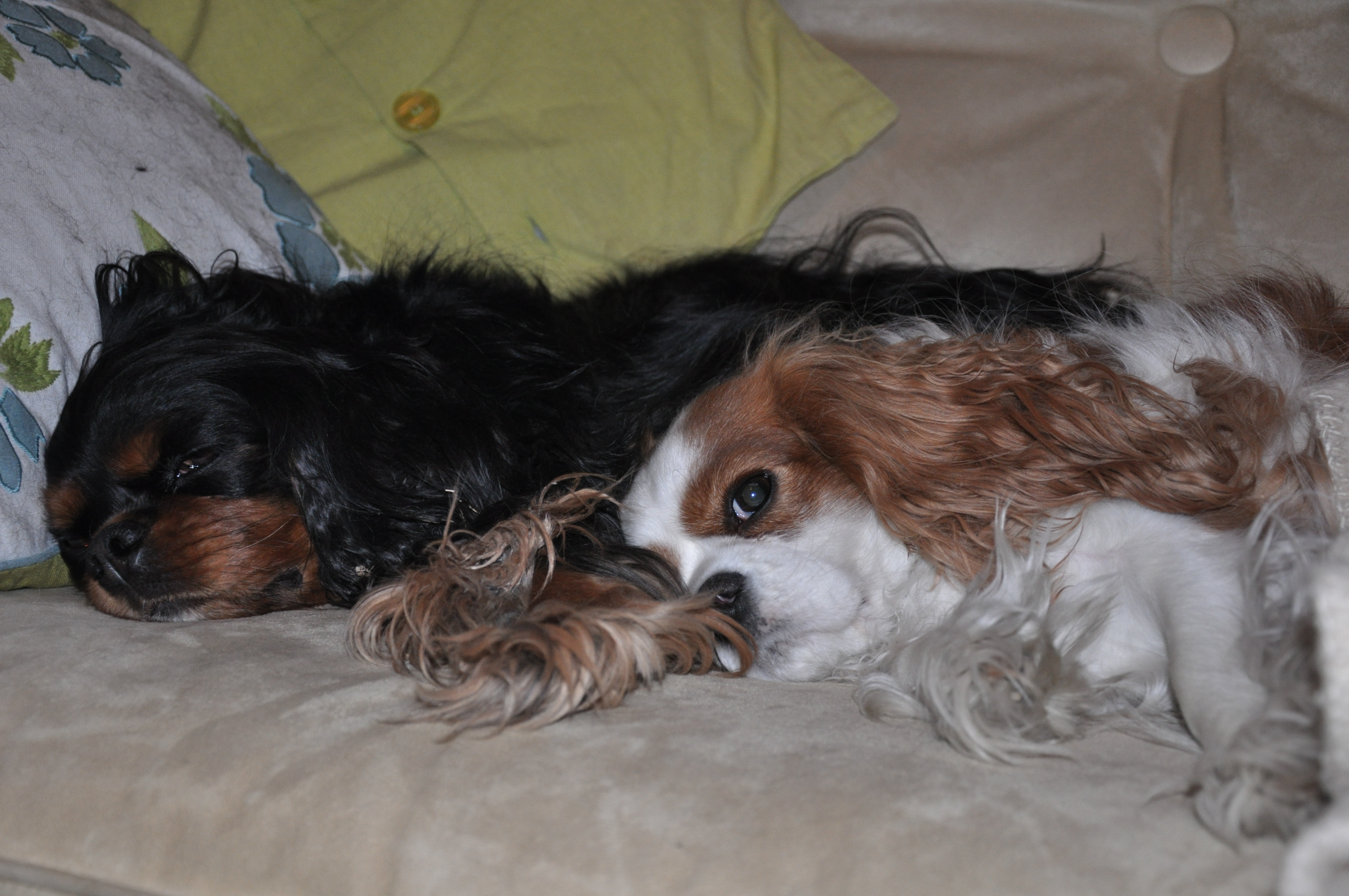 Sampson and Delilah 010.jpg